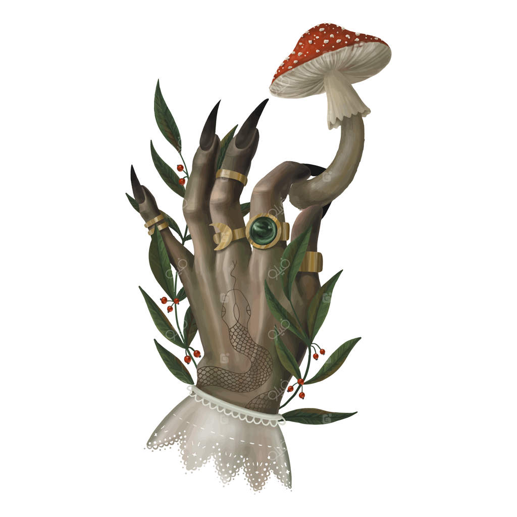 تصاویر عناصر جادویی جنگل: مار، شب‌پره، قارچ‌های آمانیتا، گیاهان و عناصر کیهانی