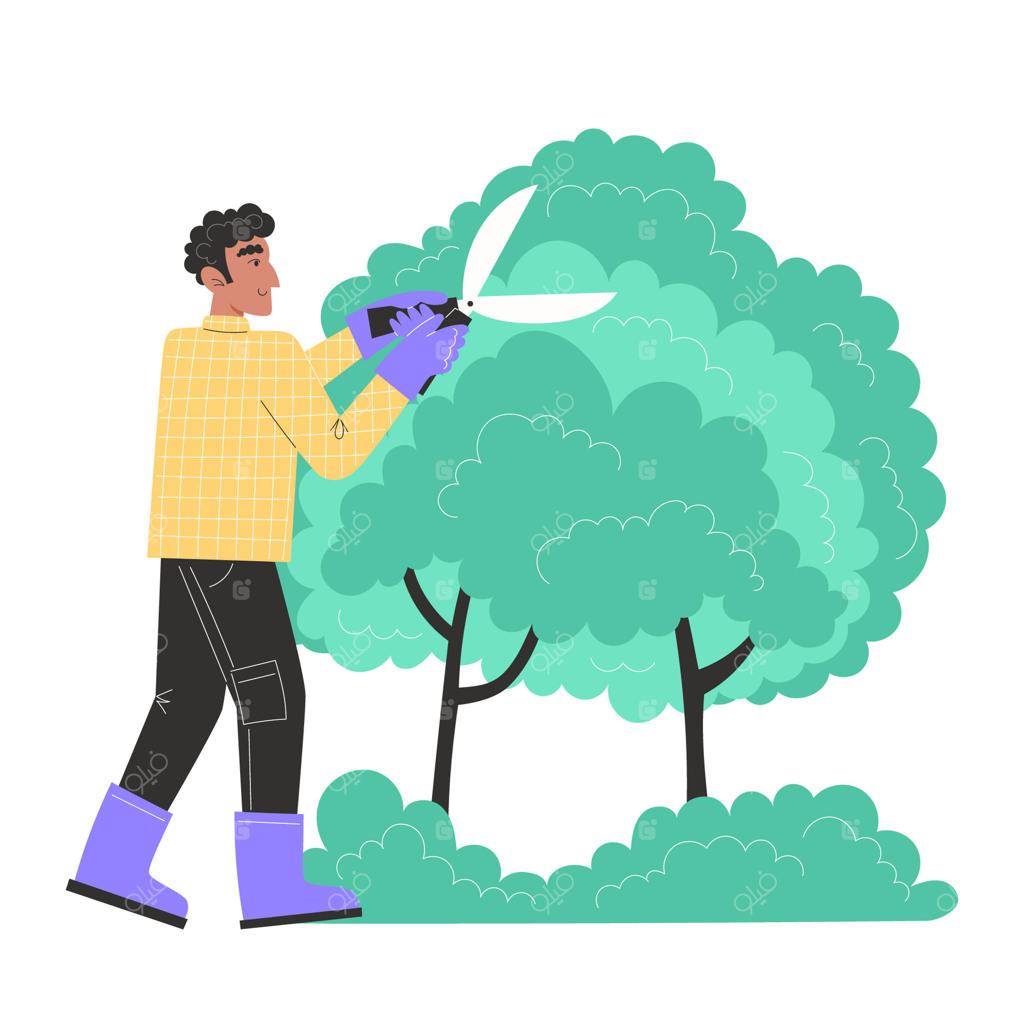 مرد جوانی با قیچی باغبانی، بوته‌های باغ را هرس می‌کند