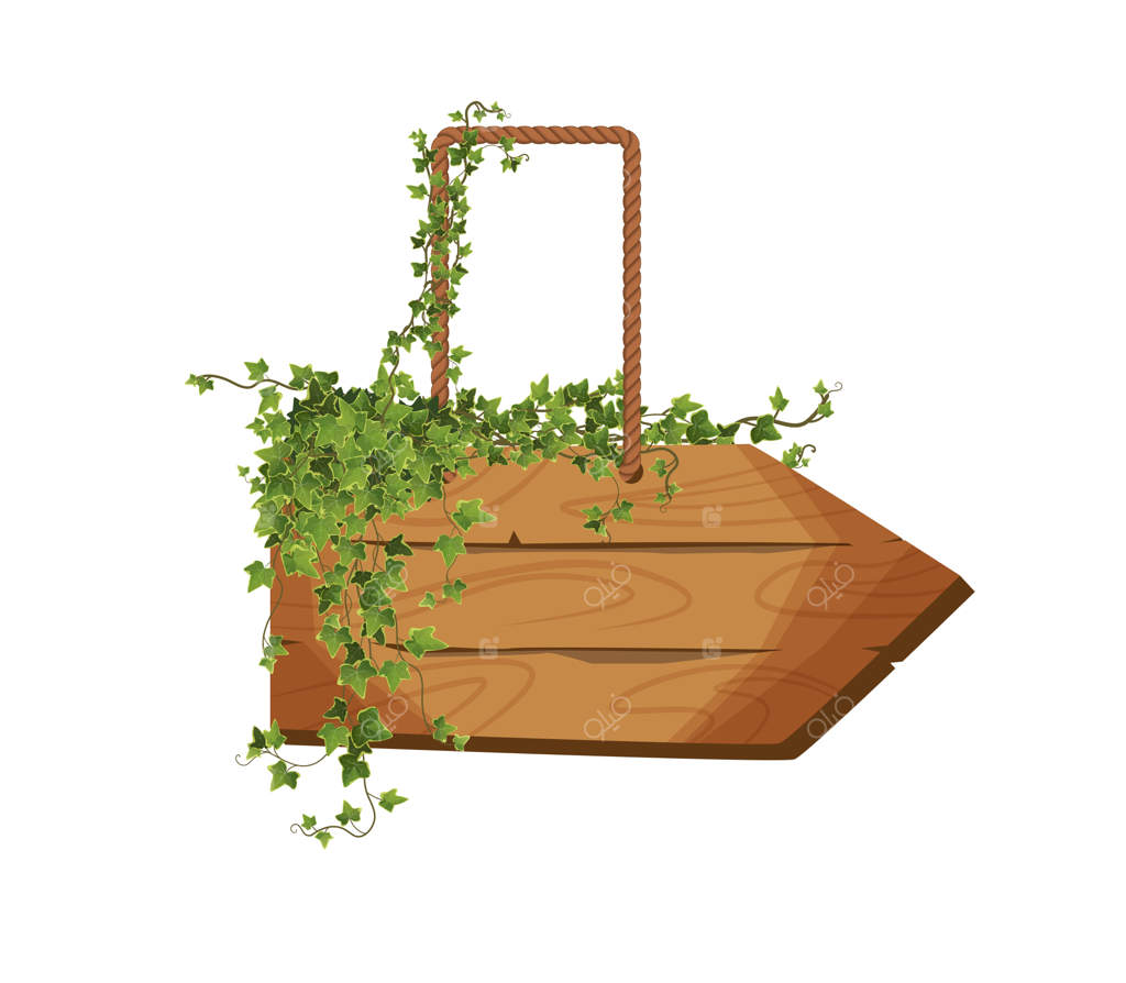 تخته‌های چوبی خالی آویزان از طناب‌ها با شاخه‌های پیچک