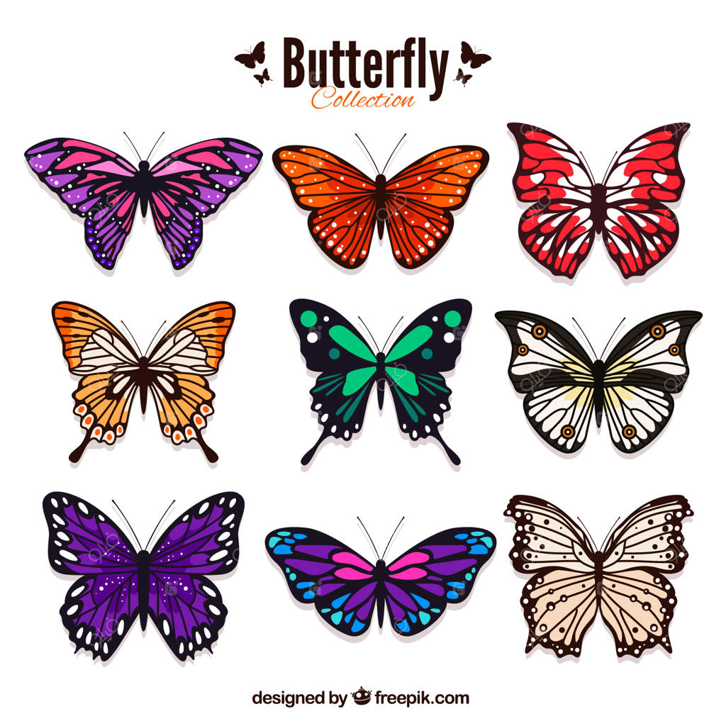 دسته‌ای از پروانه‌های رنگارنگ به سبک واقع‌گرایانه