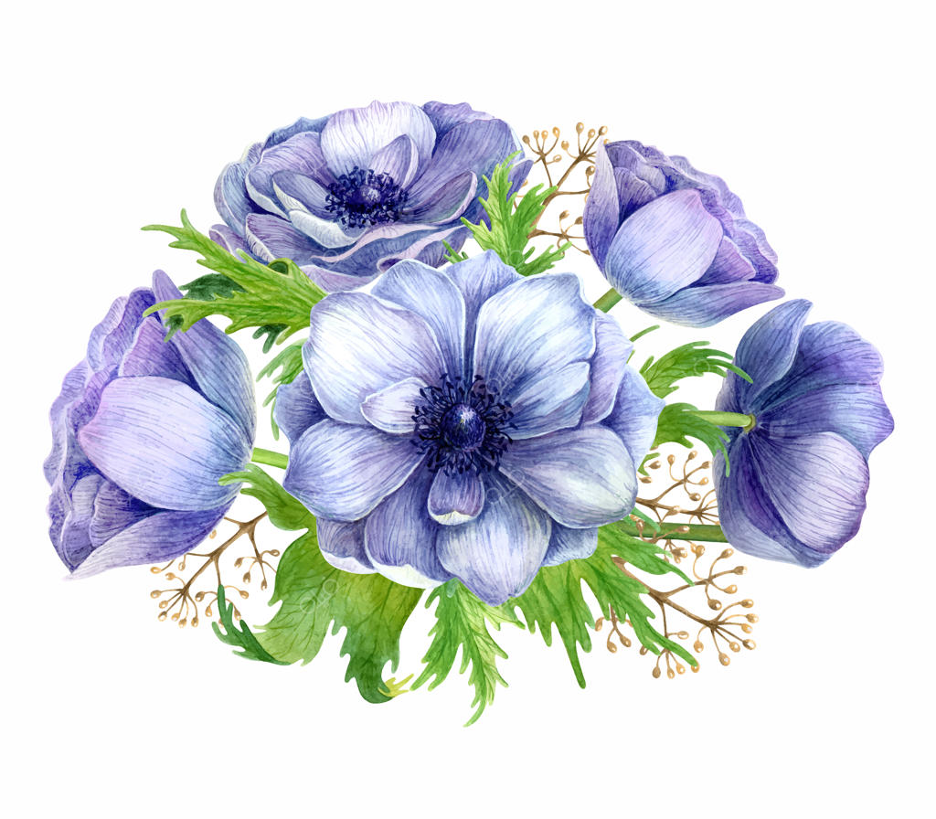 دسته گل شقایق آبرنگی