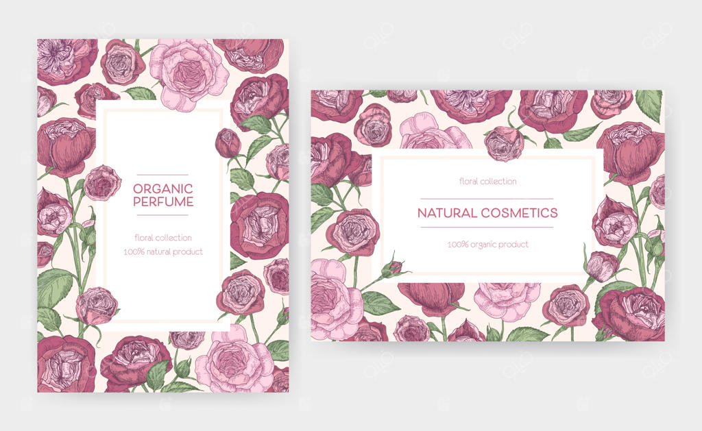 مجموعه قالب‌های افقی و عمودی کارت با قاب‌هایی از گل‌های رز آستین و جایگاهی برای متن.