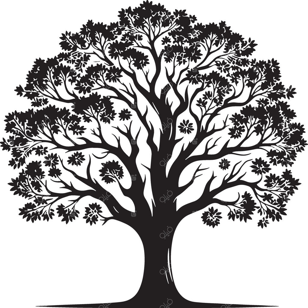 سایه‌های سیاه درختان روی پس‌زمینه سفید