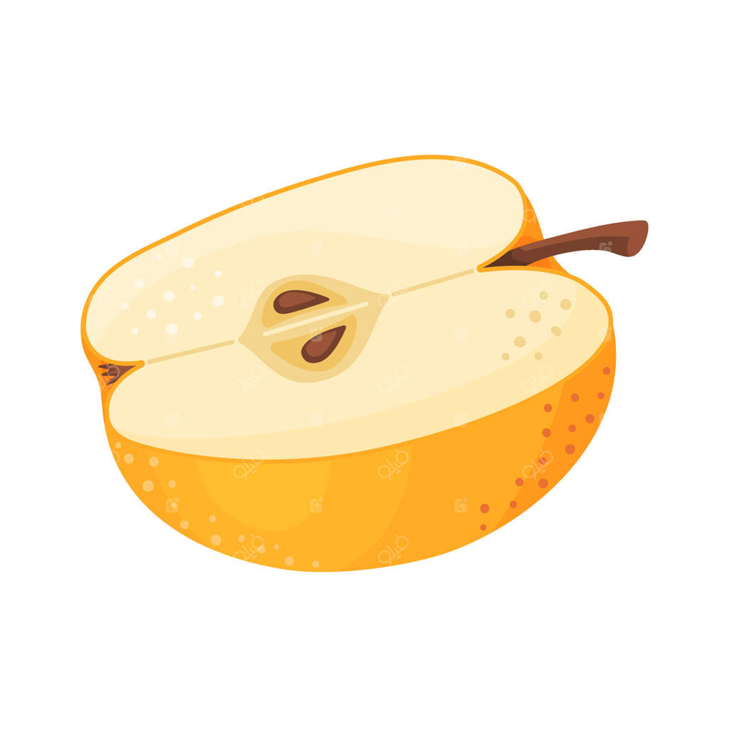 نیمه سیب زرد رسیده، میوه تازه باغ. کلیپ‌آرت غذایی دست‌کشیده. نیمه سیب زرد تازه به سبک فلت، تصویر با پس‌زمینه شفاف