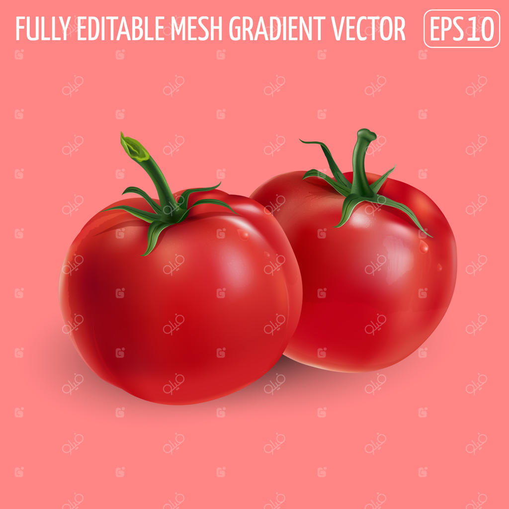 دو گوجه‌فرنگی قرمز روی یک زمینه صورتی.