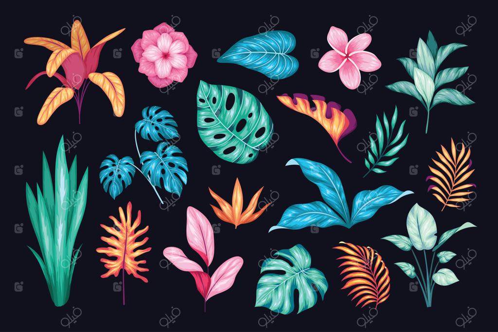 کلکسیون زیبا و قدیمی گل‌های دست‌کشیده