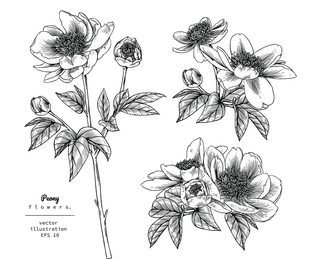 طراحی‌های برگ و گل صد تومانی