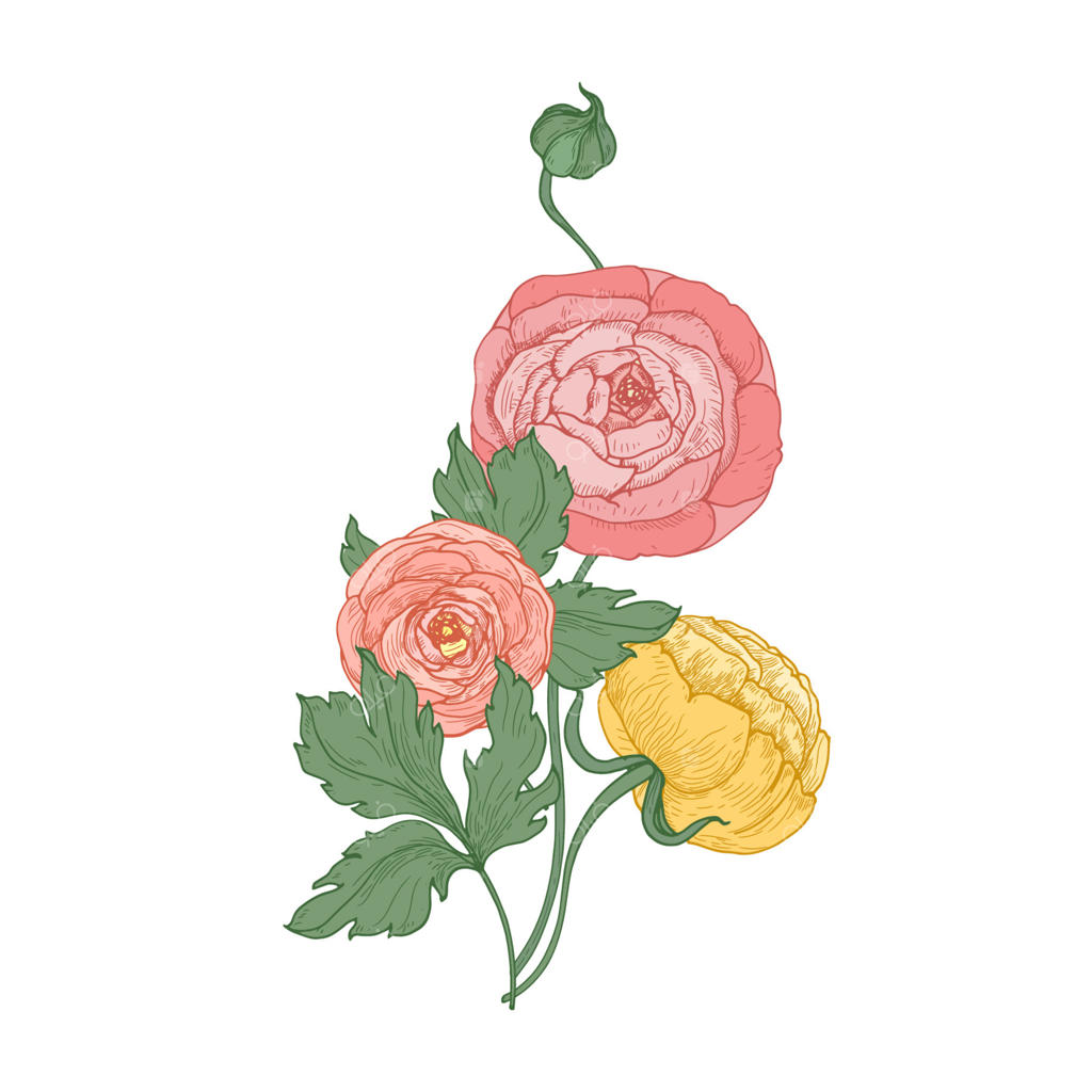 گل‌های آلاله و شقایق: طرح گیاهان باغی در سبک وینتیج