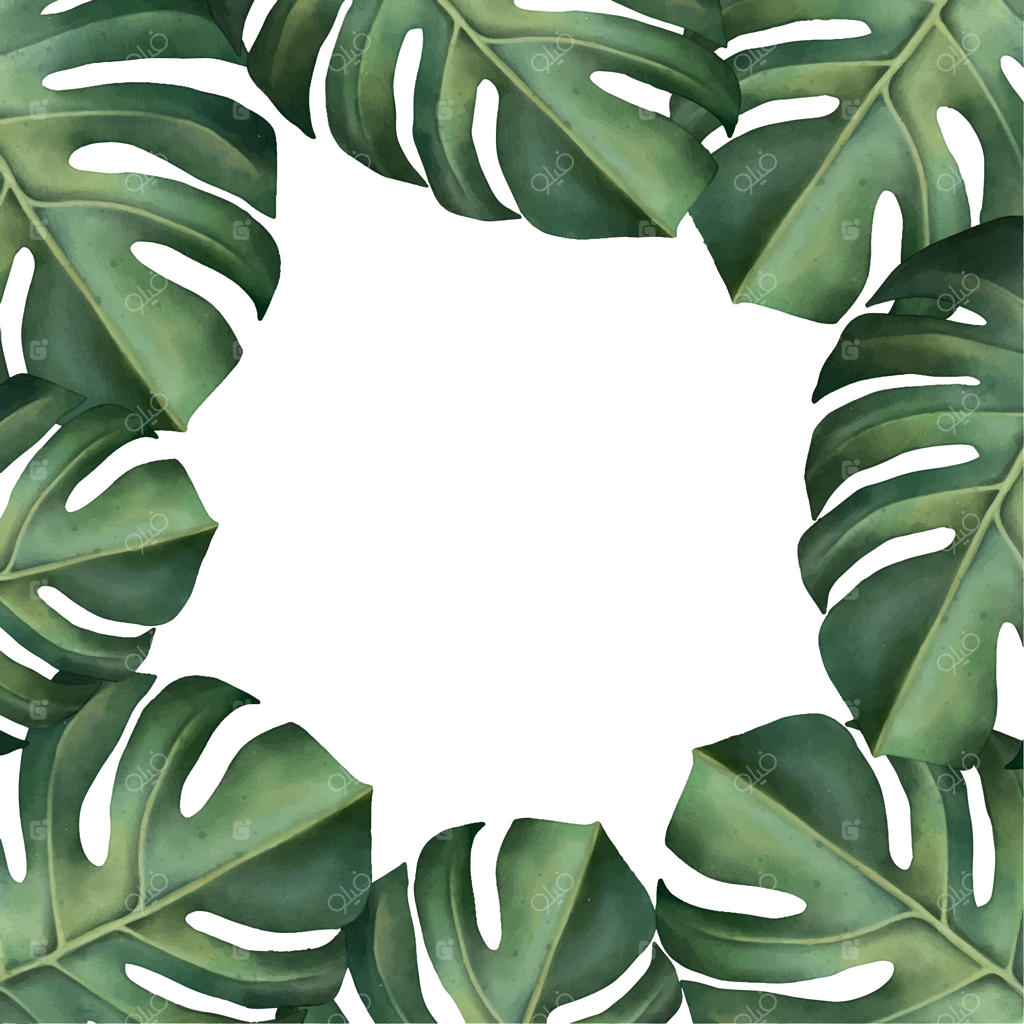 قاب گرمسیری با گیاهان روی زمینه سفید - برگ‌های نخل با آبرنگ کشیده شده‌اند