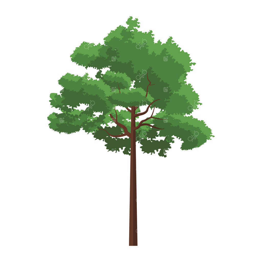 چشم‌انداز طبیعی درختان