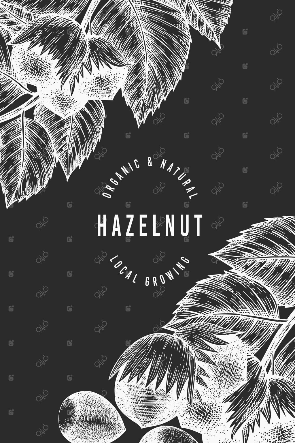 طرح دستی فندق: طراحی سنتی روی تخته سیاه برای محصولات ارگانیک.