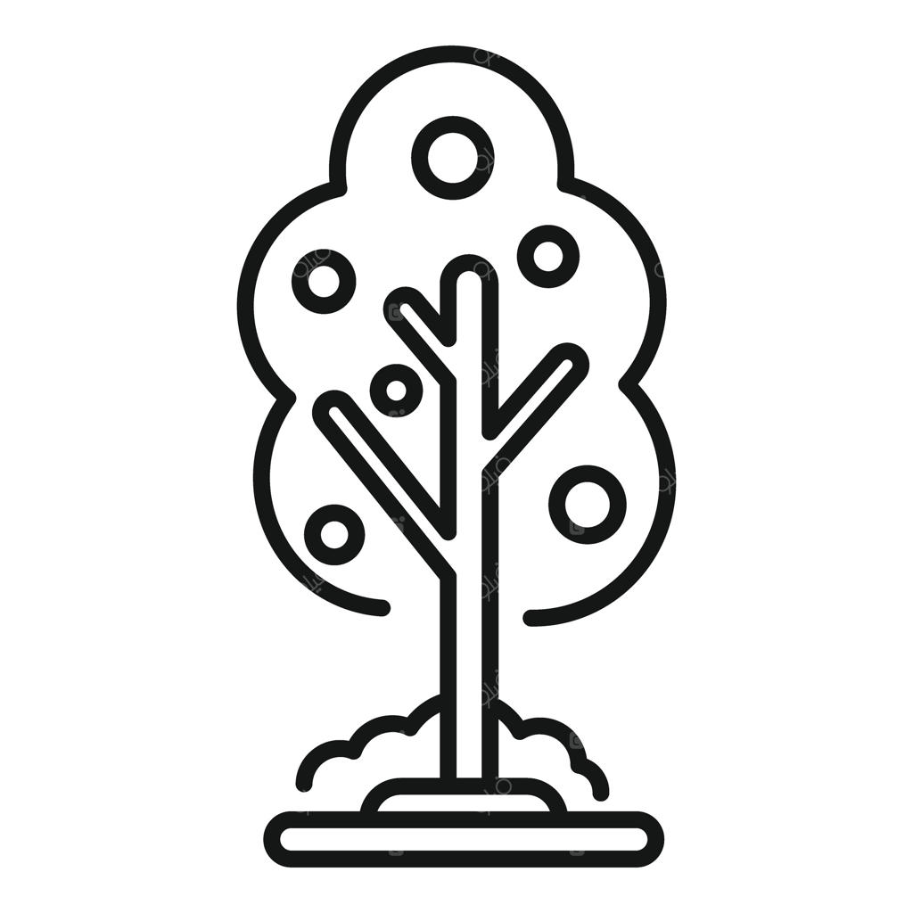 درخت باغ با تاج گرد کاشته شده در زمین