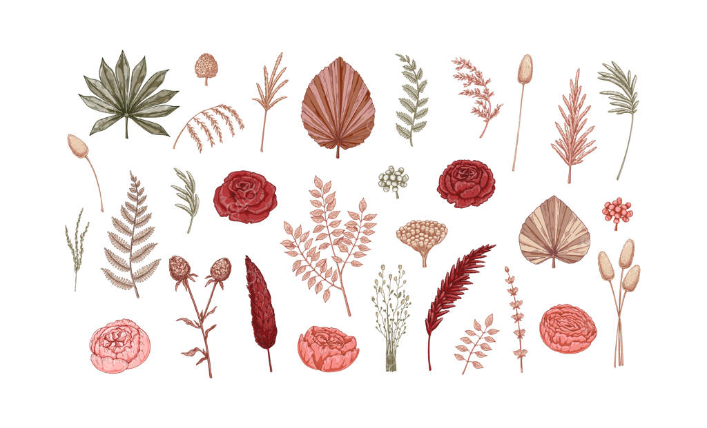 مجموعه‌ای رنگارنگ از گل‌های خشک شیک - عناصر طراحی مدرن گلفروشی - تصویر برداری وکتور