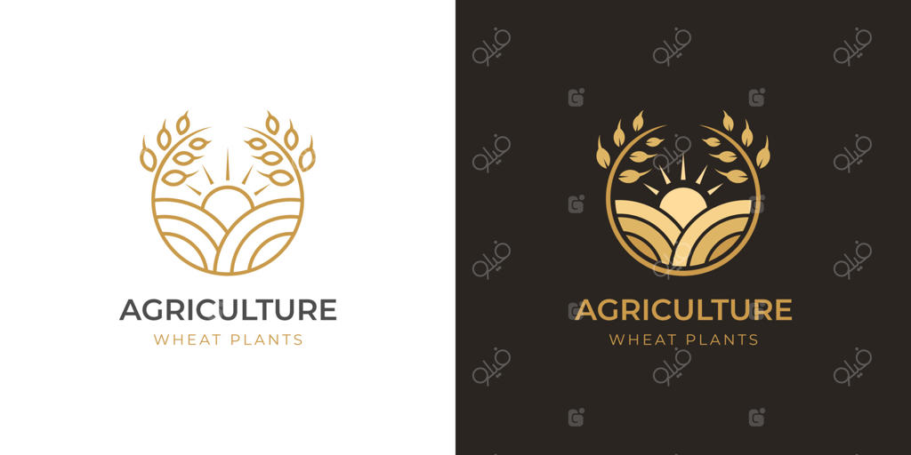 طراحی لوگوی مزرعه کشاورزی با نماد دایره‌ای طلایی از گندم، قالب لوگوی شالیکاری – دو نسخه مختلف