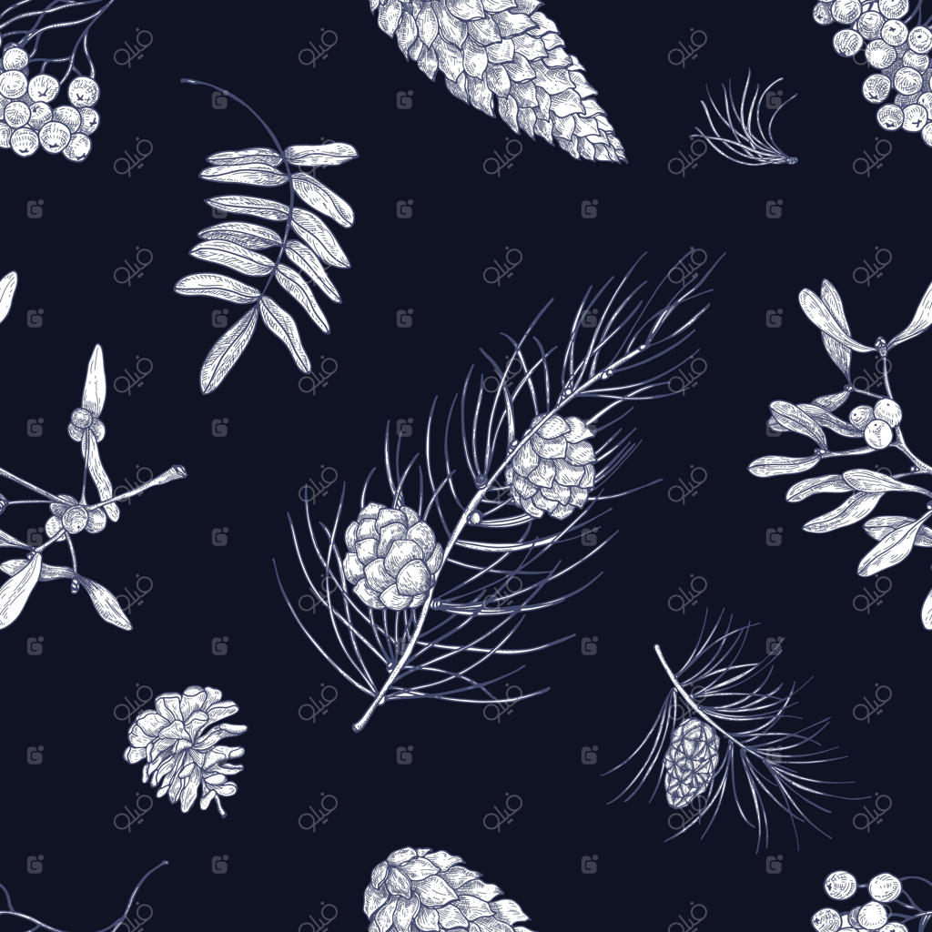 پترن یکپارچه سیاه و سفید با قطعاتی از گیاهان زمستانی - دارواش، شاخه‌های درختان سوزنی برگ، میوه‌های مخروطی، توت‌ها و برگ‌های درخت سماق