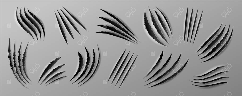 پنجه‌های واقعی حیوان. سوراخ‌های چرکین روی کاغذ، اثر پنجه‌های حیوان‌وحشی و گربه. مجموعه‌ای از نشانه‌های حمله و پارگی پس‌زمینه.