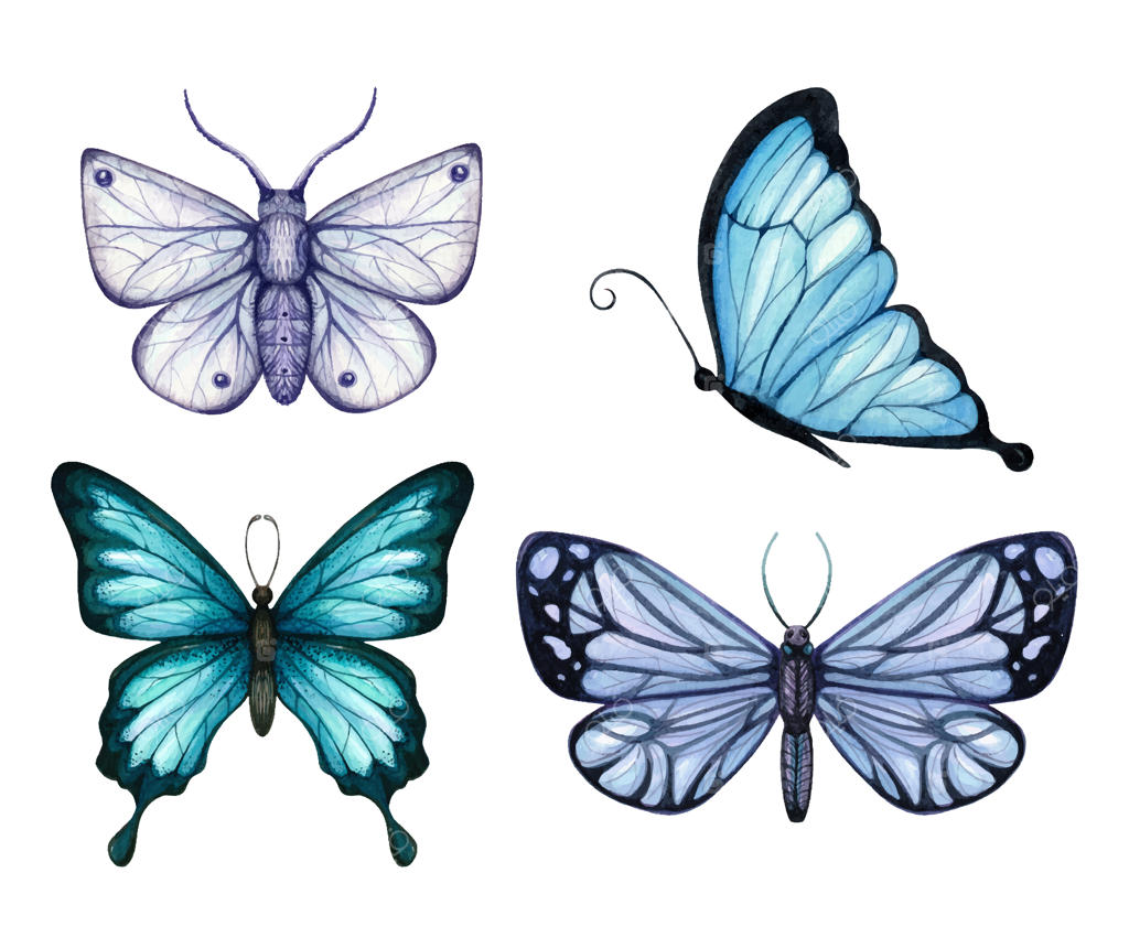 مجموعه پروانه‌های آبرنگی