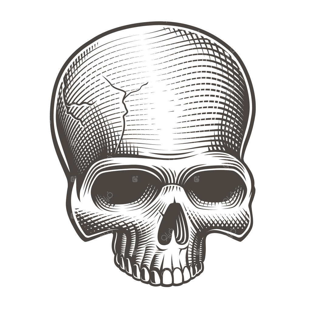 جمجمه سیاه و سفید به سبک حکاکی روی زمینه سفید