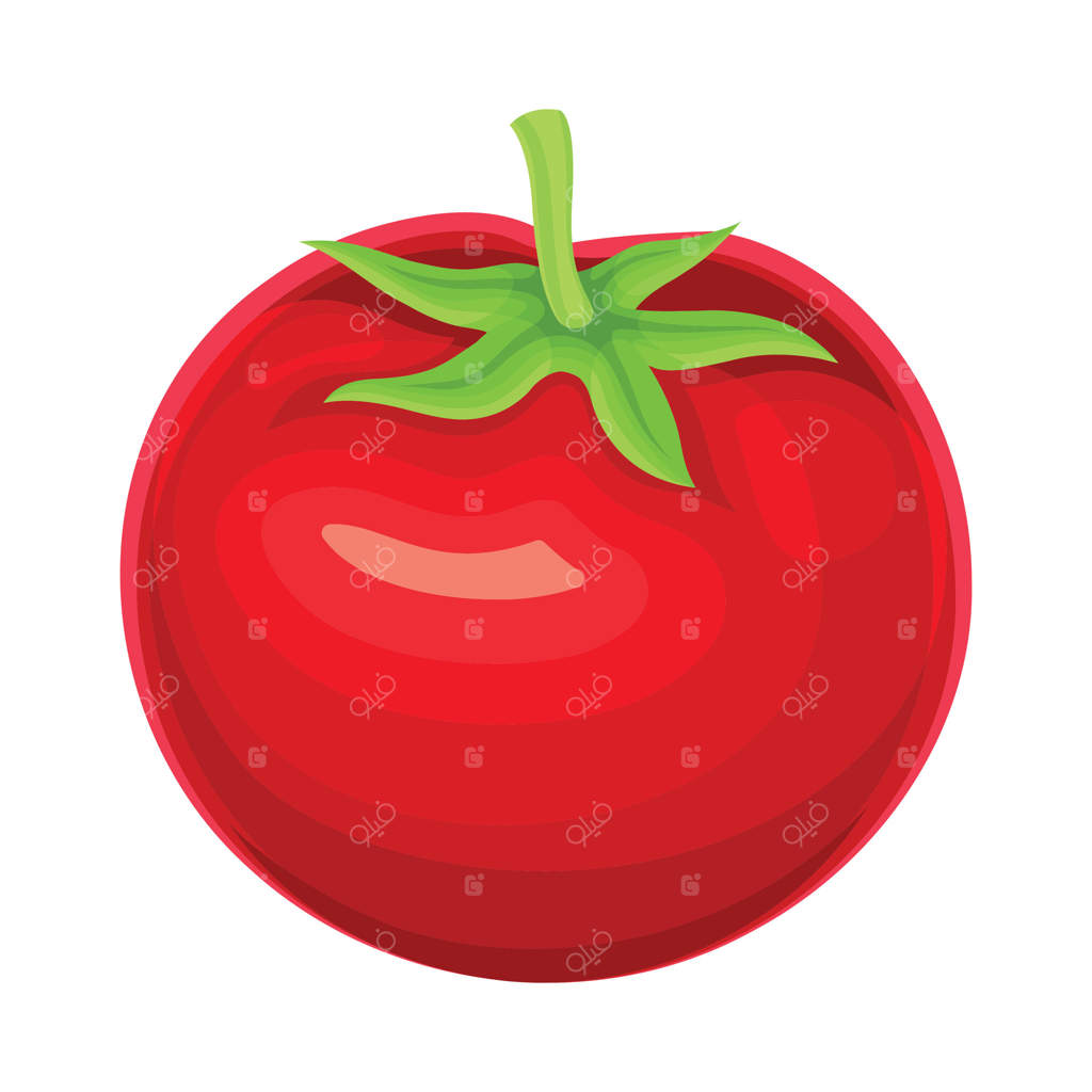 تصویر کلوزآپ از گوجه‌فرنگی رسیده: غذایی خام و سالم و گیاهی بومی باغبانی