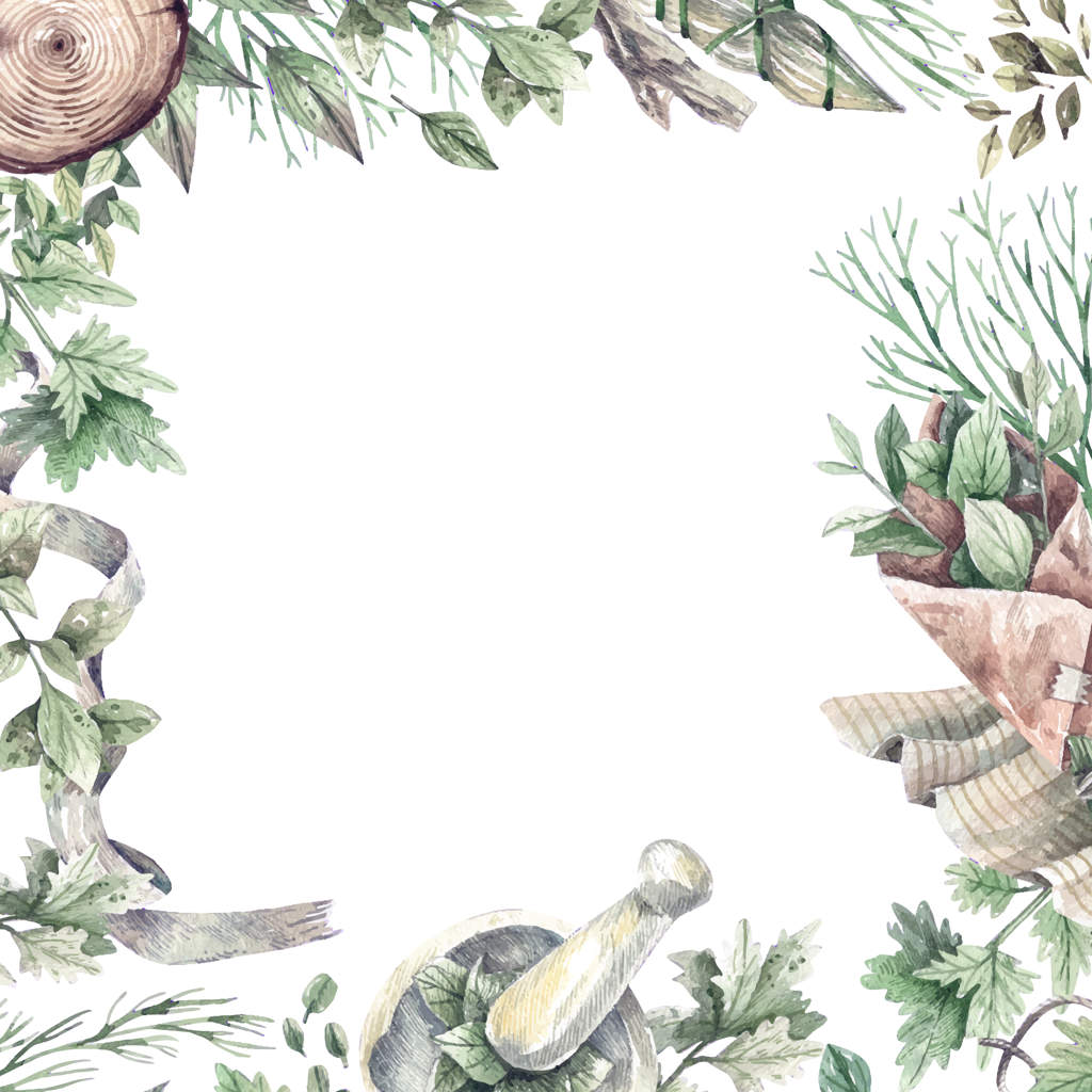 قاب آبرنگی با بطری دارو و گیاهان ارگانیک و سالم؛ گیاهان سبز و خشک برای آروماتراپی، دارو، و لوازم آرایشی ارگانیک. محصولات مراقبت سلامتی