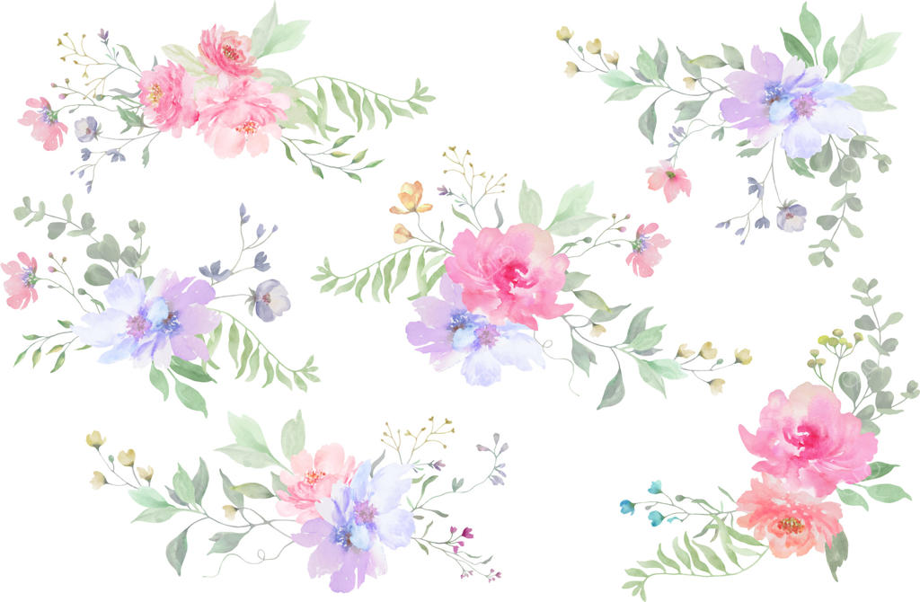 مجموعه‌ای خیره‌کننده از طراحی‌های گل آبرنگی وکتور حرفه‌ای