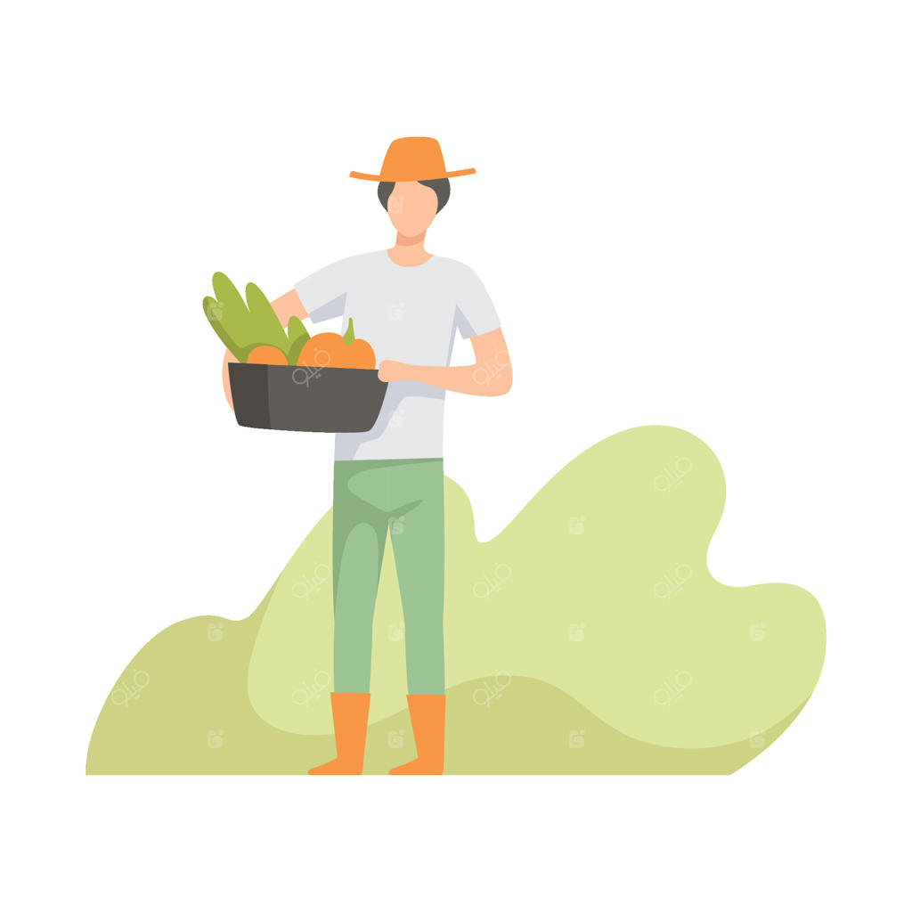 کشاورز در حال برداشت، کار در باغ، کارگری که محصولات کشاورزی پرورش می‌دهد - تصویرسازی