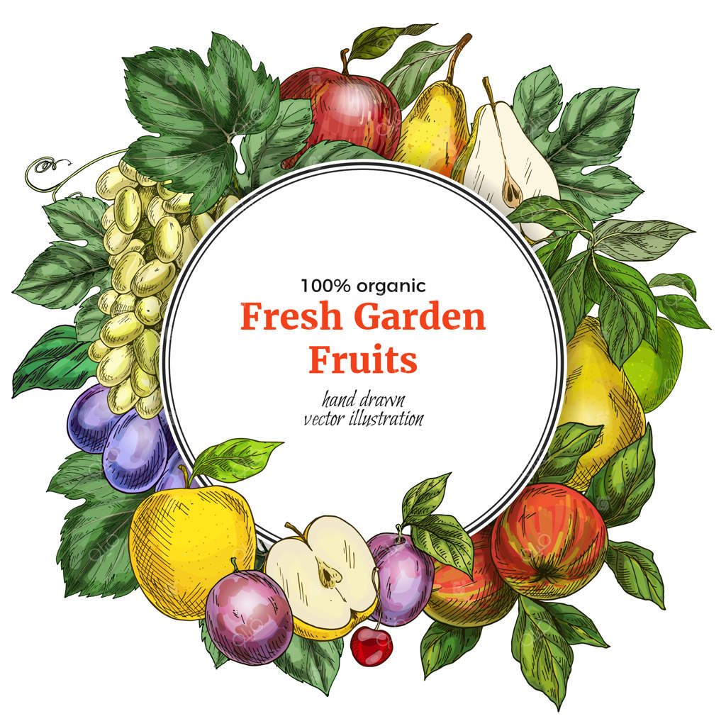 قالب بنر گرد میوه‌ها