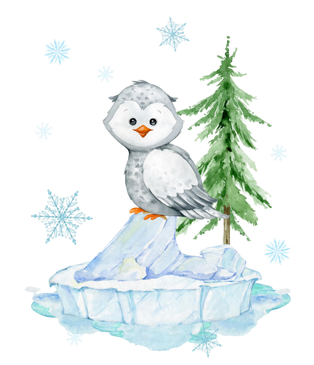 جغد بامزه، حیوان قطبی کارتونی در پس‌زمینه‌ای ساده