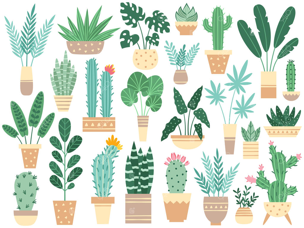 گیاهان خانگی در گلدان‌ها: گل‌ها و گیاهان آپارتمانی برای تزئین خانه با گیاهان آپارتمانی در گلدان