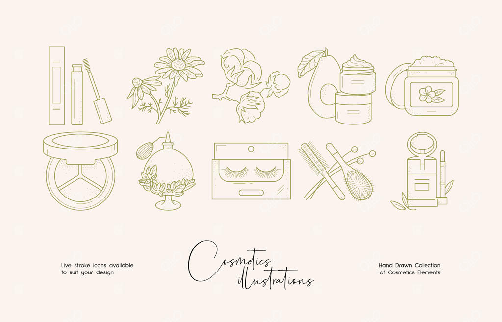 مجموعه‌ای از طراحی خطی گیاهان برای هویت بصری برند محصولات آرایشی