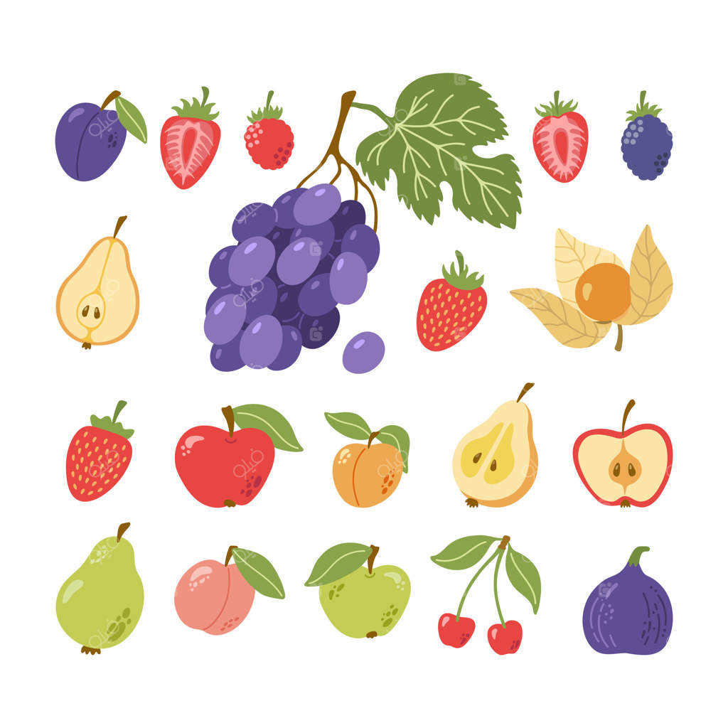 میوه‌ها و توت‌های باغ: آلو، توت فرنگی، تمشک، انگور، شاه‌توت، گلابی، فیزالیس، سیب، زردآلو، هلو، گیلاس، انجیر. مجموعه‌ای از نقاشی دستی کارتونی.