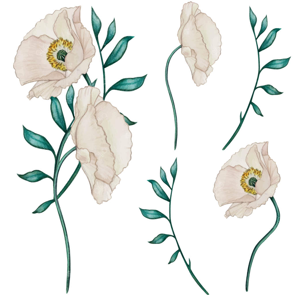 نقاشی دکوراسیون گل شقایق به سبک آرت دکو با آبرنگ