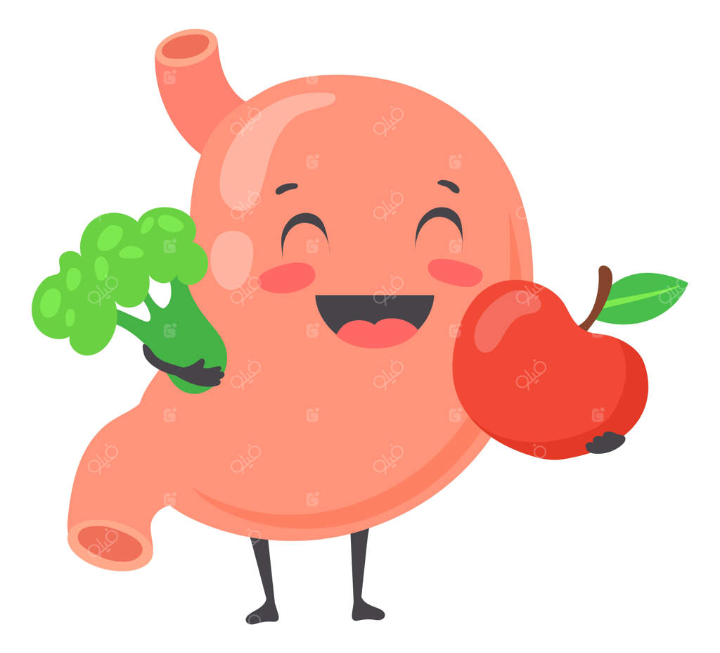 شکم شاداب با میوه‌ها و سبزیجات تازه، تغذیه سالم