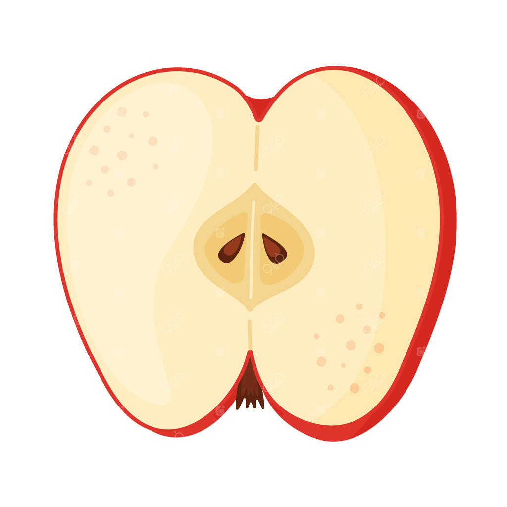 برشی از سیب قرمز تازه، میوه باغی تازه. نقاشی دستی از خوراکی. تصویر برش سیب قرمز تازه به سبک مسطح و پس‌زمینه شفاف. تصویرسازی سیب سرخ خوشمزه