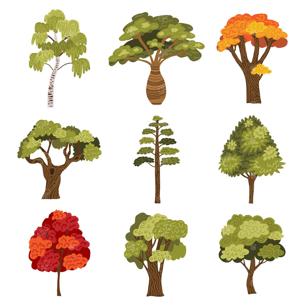 مجموعه‌ای از نقاشی‌های آبرنگی درختان