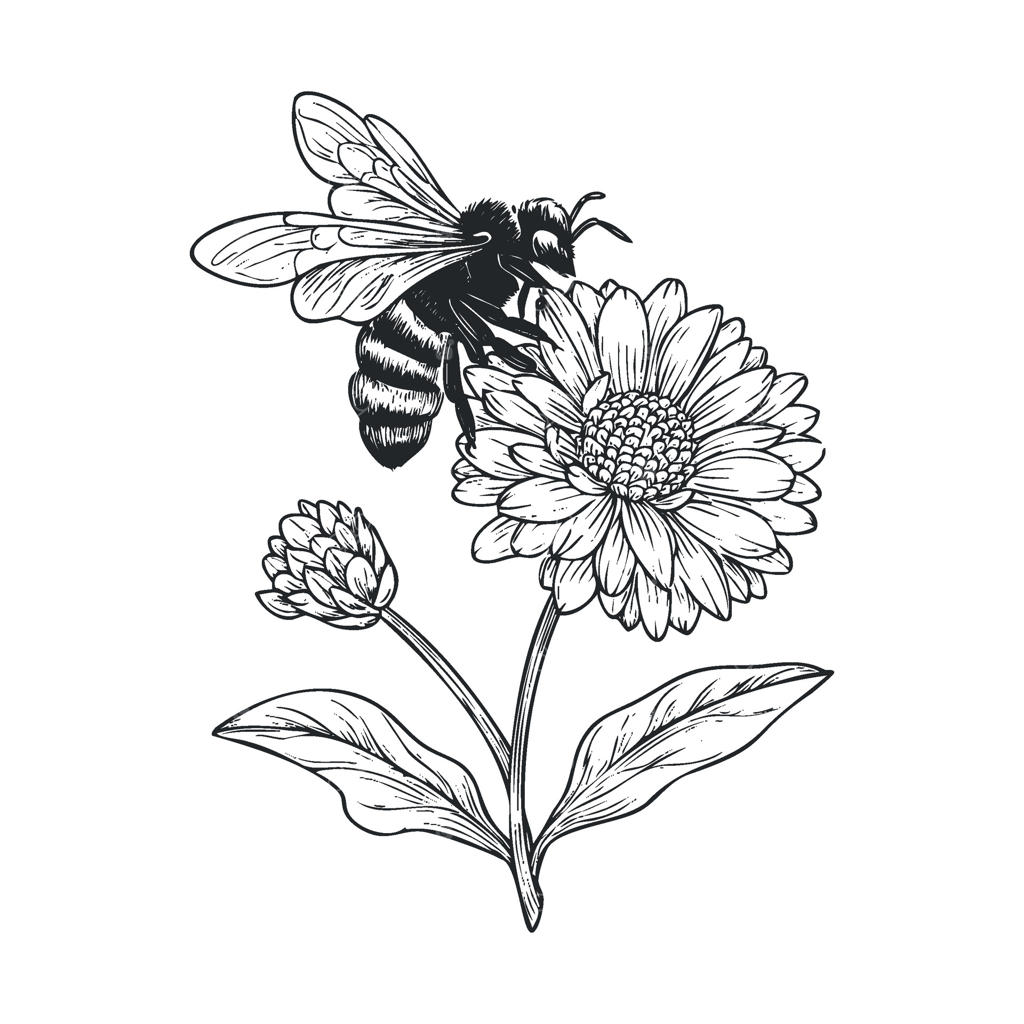 زنبور در حال جمع‌آوری شهد از گل مینای باغ