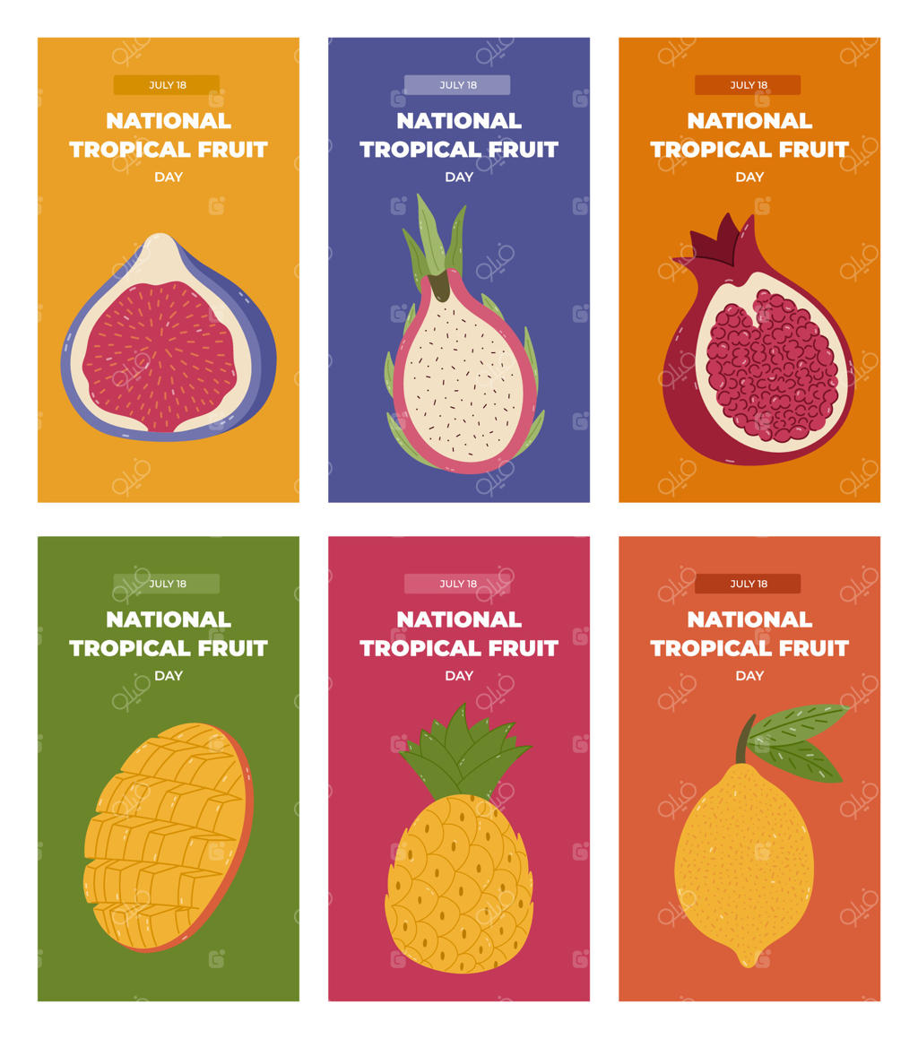 مجموعه بزرگ و جذاب از استوری‌های عمودی مدرن برای روز ملی میوه‌های استوایی با کلیپ آرت کارتونی رنگارنگ از انجیر، پیتایا، انبه و لیمو. بنر تبریک با غذاهای شیرین برای شبکه‌های اجتماعی.