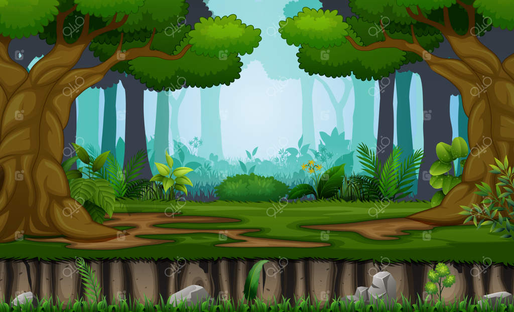 درختان بسیار در پس‌زمینه جنگل