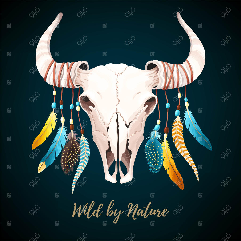 تصویر طراحی شده جمجمه گاو نر با پرها