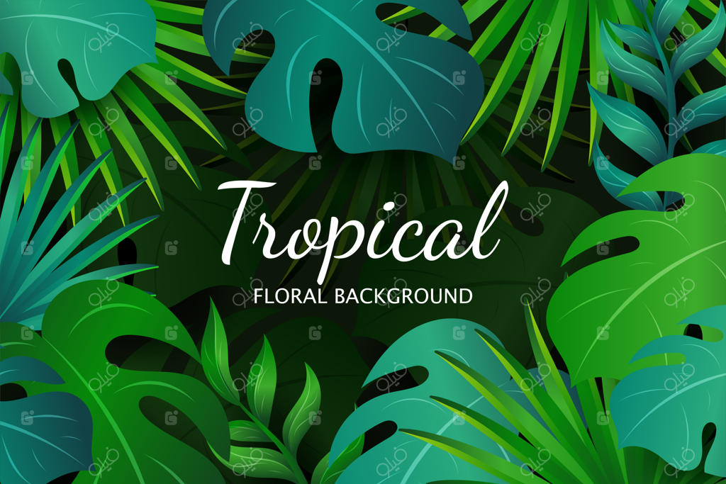 زمینه‌ی شیک با برگ‌های فیلودندرون و گرمسیری