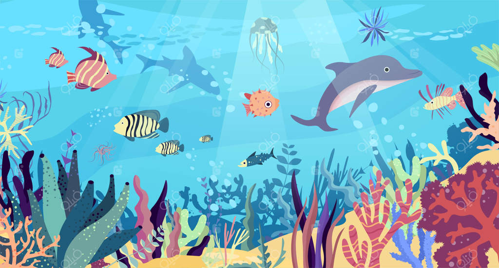 دنیای زیر آب در اقیانوس: صخره‌های مرجانی، ماهی‌ها، دلفین‌ها، کوسه‌ها، عروس دریایی و جانوران مناطق گرمسیری.