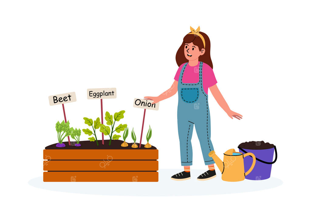 باغبان جوانی که از باغچه سبزیجات با برچسب‌های چغندر، بادمجان و پیاز مراقبت می‌کند