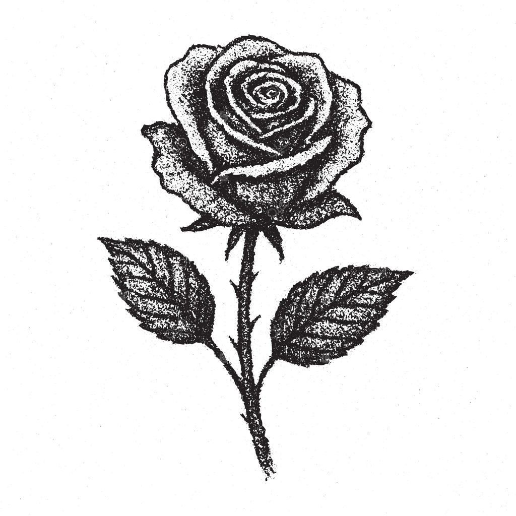 تصویر سیاه و سفید بافت‌دار از گل رز با برگ‌ها که نماد عشق، زیبایی، طبیعت، رشد، شور و زندگی است و هنر گل‌کاری و طراحی تزئینی خلاقانه را نشان می‌دهد.