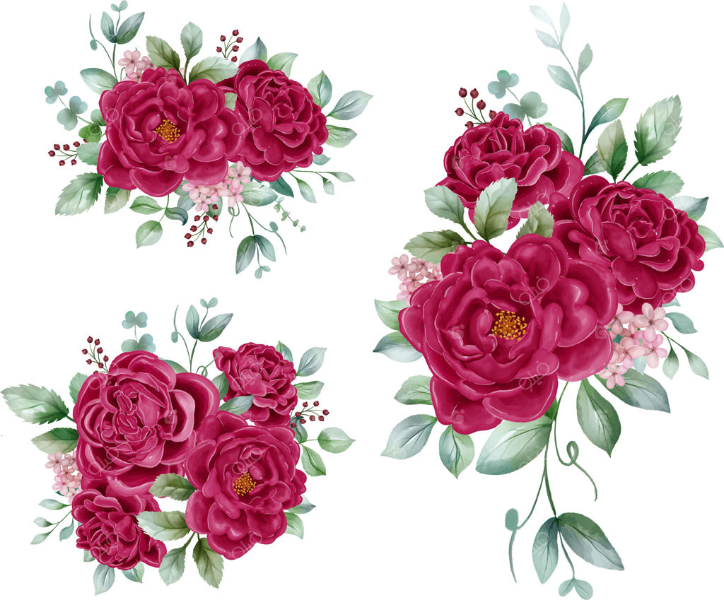 چیدمان گل های آبرنگی صد تومانی به رنگ زرشکی: طراحی لوکس عناصر گیاهی زرشکی برای پس زمینه یا کاغذ دیواری، چاپ ها، دعوت نامه ها و کارت پستال ها.