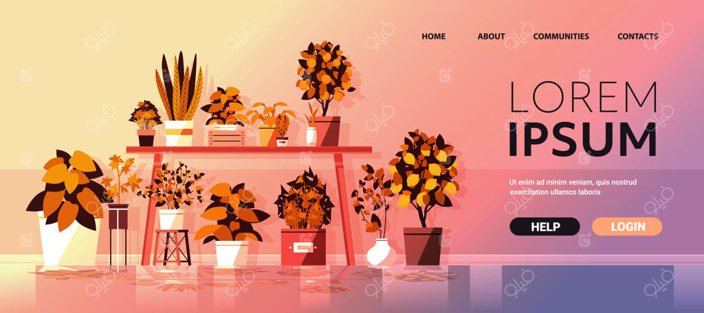 گیاهان آپارتمانی در گلخانه روی میز، مفهوم باغبانی؛ فضای افقی برای نگارش