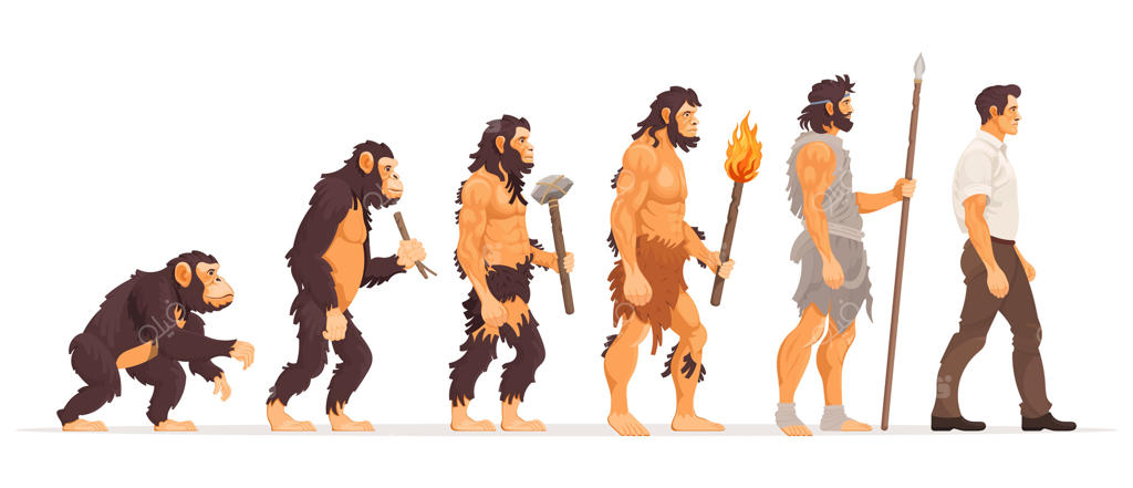 تکامل انسان: از میمون تا انسان مدرن، فرایند رشد. از میمون تا انسان راست‌قامت، از انسان اولیه تا تاجر. مراحل تکامل تاریخ انسان.