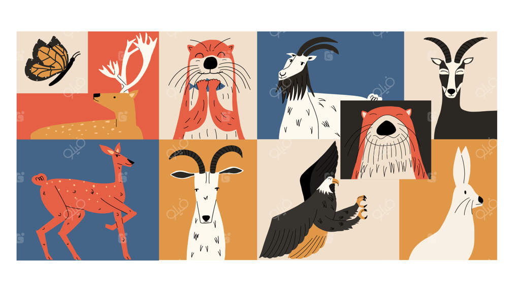 حیوانات وحشی: مفهومی از تنوع زیستی - سمور، خرگوش صحرایی، بز وحشی، عقاب سرسفید، گوزن - تصویرسازی دستی وکتوری