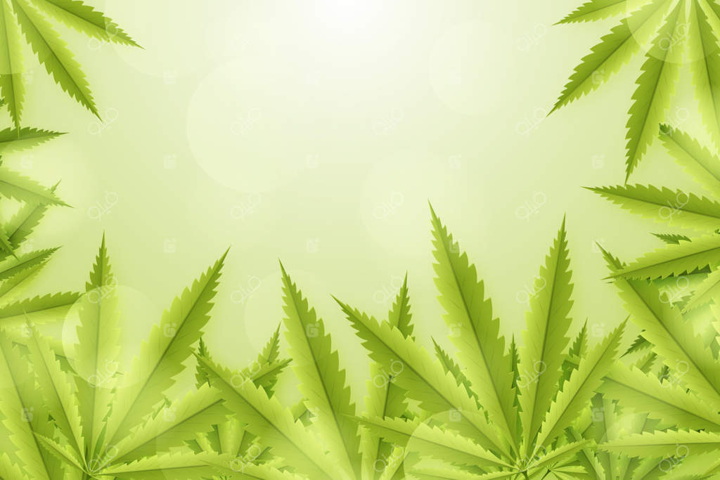 پس‌زمینه‌ی واقعی برگ‌های شاهدانه