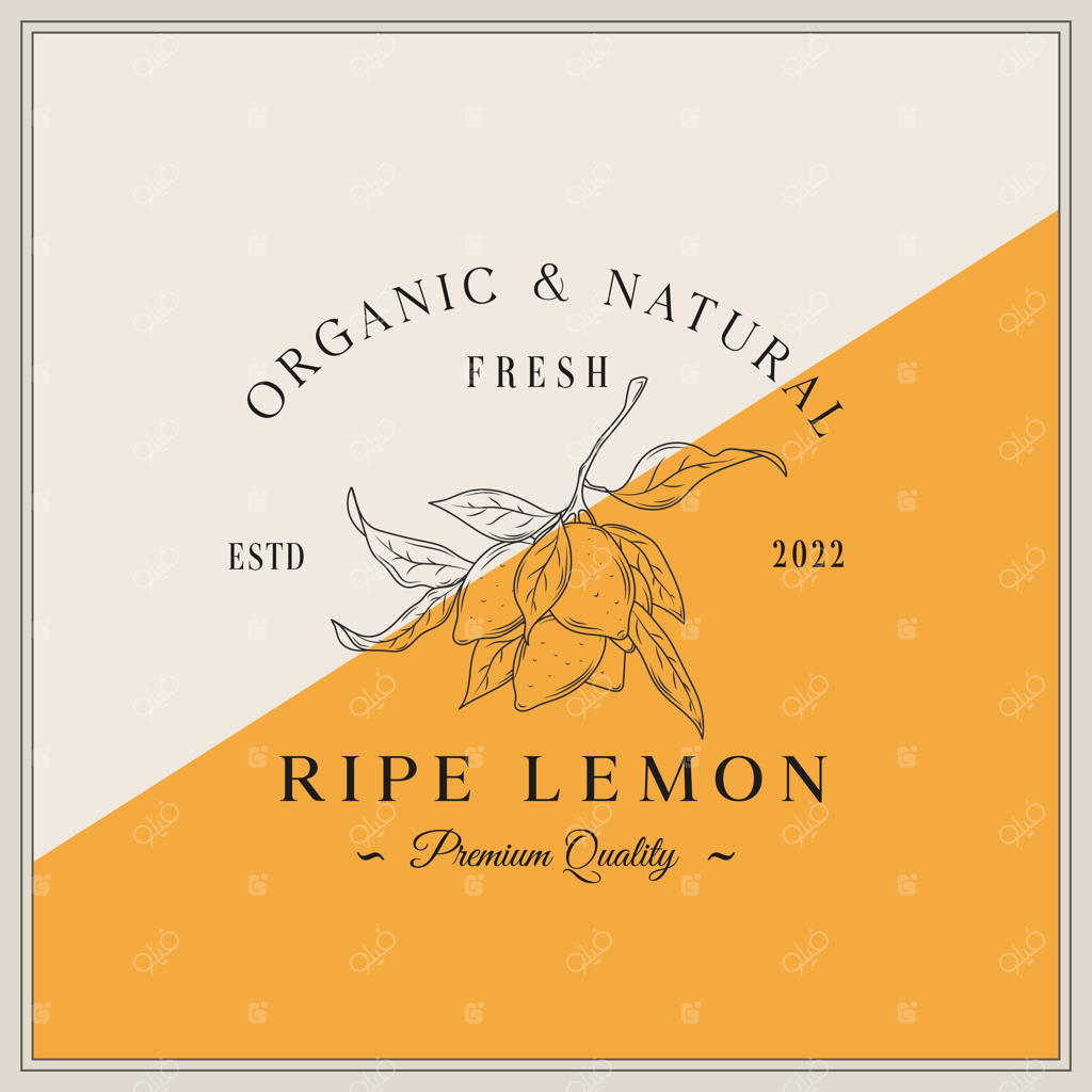 نماد یا لوگو مزرعه لیمو: طرح دستی لیمو با برگ و تایپوگرافی کلاسیک و قدیمی