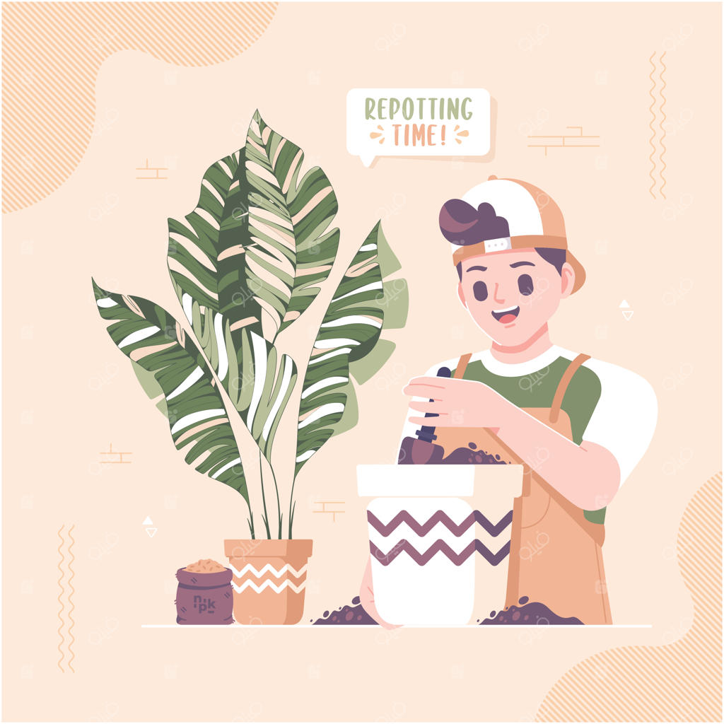 پس‌زمینه‌ای مصور از مفهوم گلدان‌گذاری مجدد گیاهان آپارتمانی